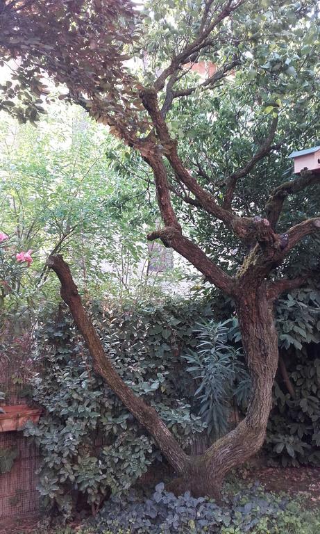 Appartamento Giardino Verde 摩德纳 外观 照片