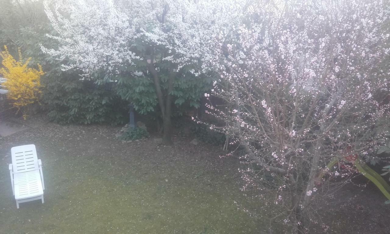 Appartamento Giardino Verde 摩德纳 外观 照片